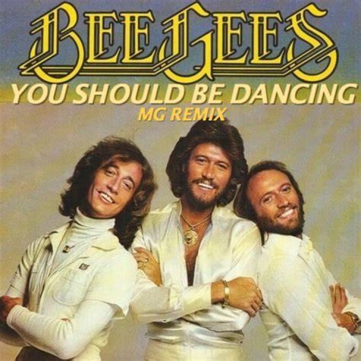 You Should Be Dancing How The Bee Gees Reinvented Their Lives and